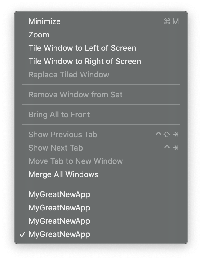 picute of window menu with multiple copies of window